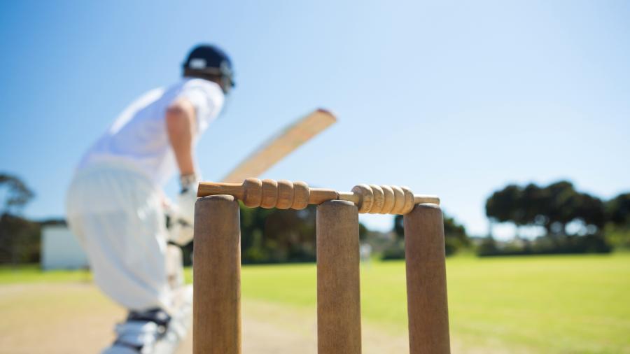 Cricket Coaching and Umpiring for Inexperienced Coaches